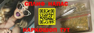 СК Майкоп