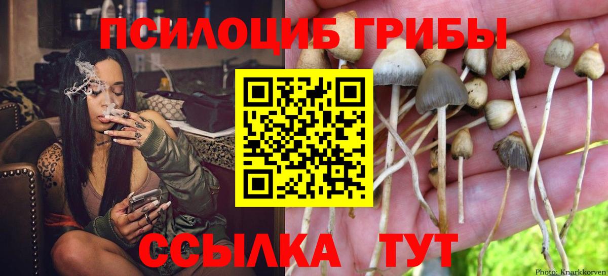 Коряжма  Галлюциногенные грибы MAGIC MUSHROOMS  Вход с VPN 
