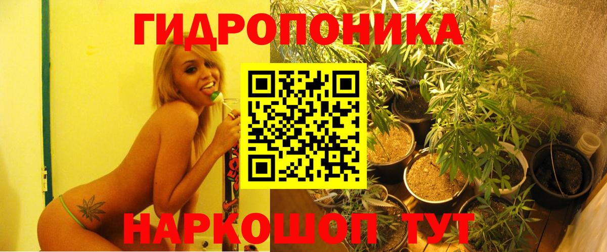 Бошки Шишки AK-47  Вход с VPN  Шишки марихуана семена  Коряжма  Каннабис марихуана 
